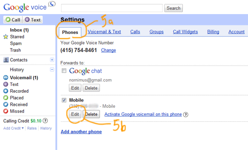 google voice text 6